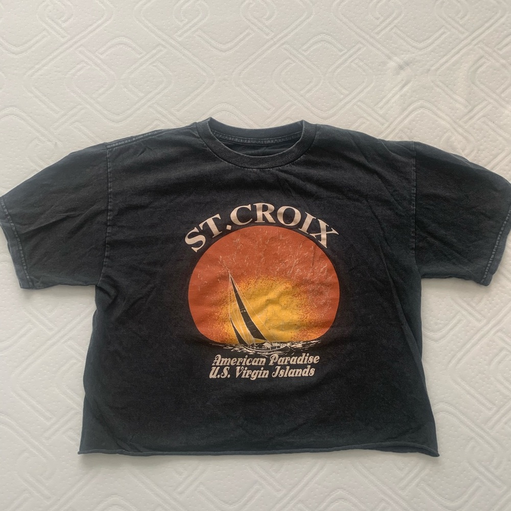 Brandy Melville Vintage Crop Tee (St Croix)